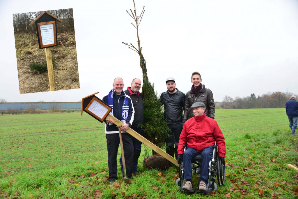 "Baum des Jahres" in Peine geklaut Hallo Wochenende